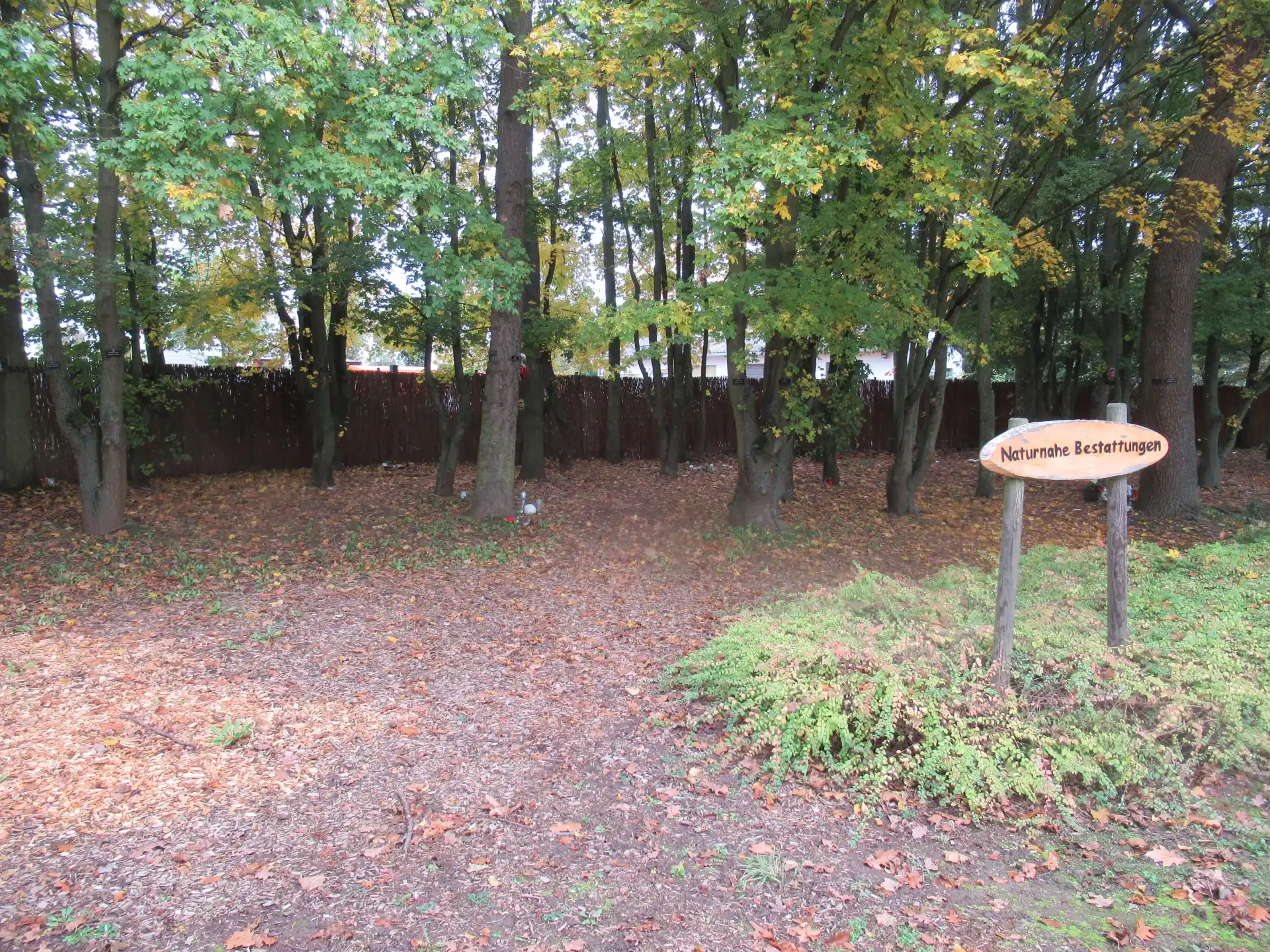Baumbestattung